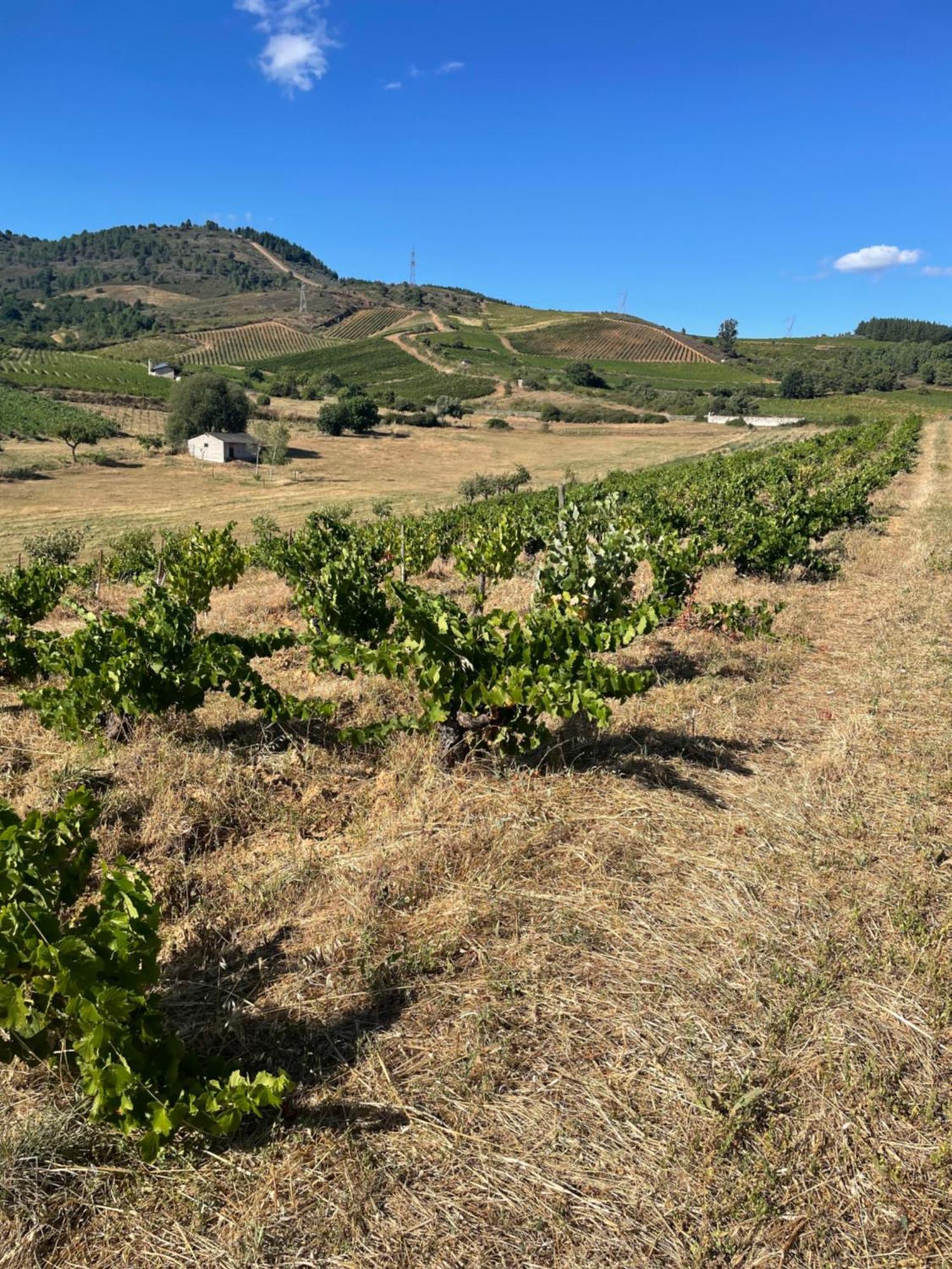 Boutique Finca Esencial Villafranca Del Bierzo Exterior foto