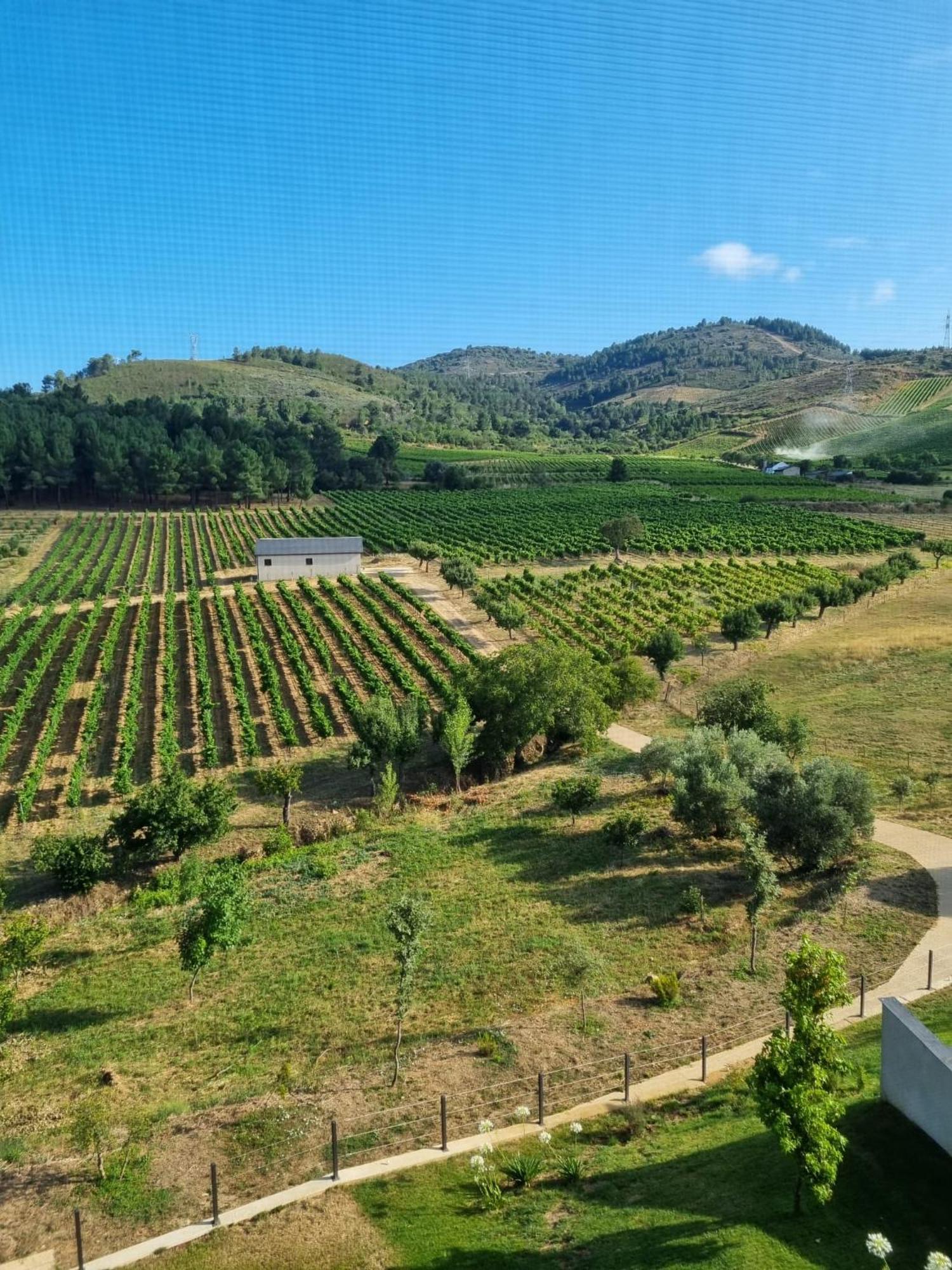 Boutique Finca Esencial Villafranca Del Bierzo Exterior foto
